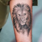 Lion Tattoo