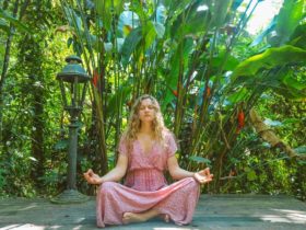 Meditation Experience