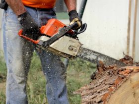 Ryobi Chainsaw